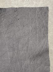 画像3: エレファントレザー　グレー　ゾウ革　象革　エキゾチックレザー (3)