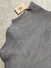 画像2: エレファントレザー　グレー　ゾウ革　象革　エキゾチックレザー (2)