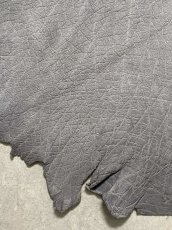 画像4: エレファントレザー　グレー　ゾウ革　象革　エキゾチックレザー (4)