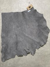 画像9: エレファントレザー　グレー　ゾウ革　象革　エキゾチックレザー (9)