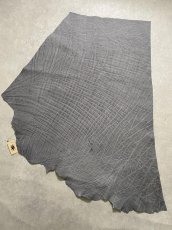 画像1: エレファントレザー　グレー　ゾウ革　象革　エキゾチックレザー (1)