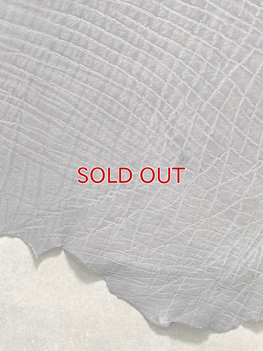 画像5: エレファントレザー　グレー　ゾウ革　象革　エキゾチックレザー (5)