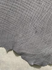 画像5: エレファントレザー　グレー　ゾウ革　象革　エキゾチックレザー (5)