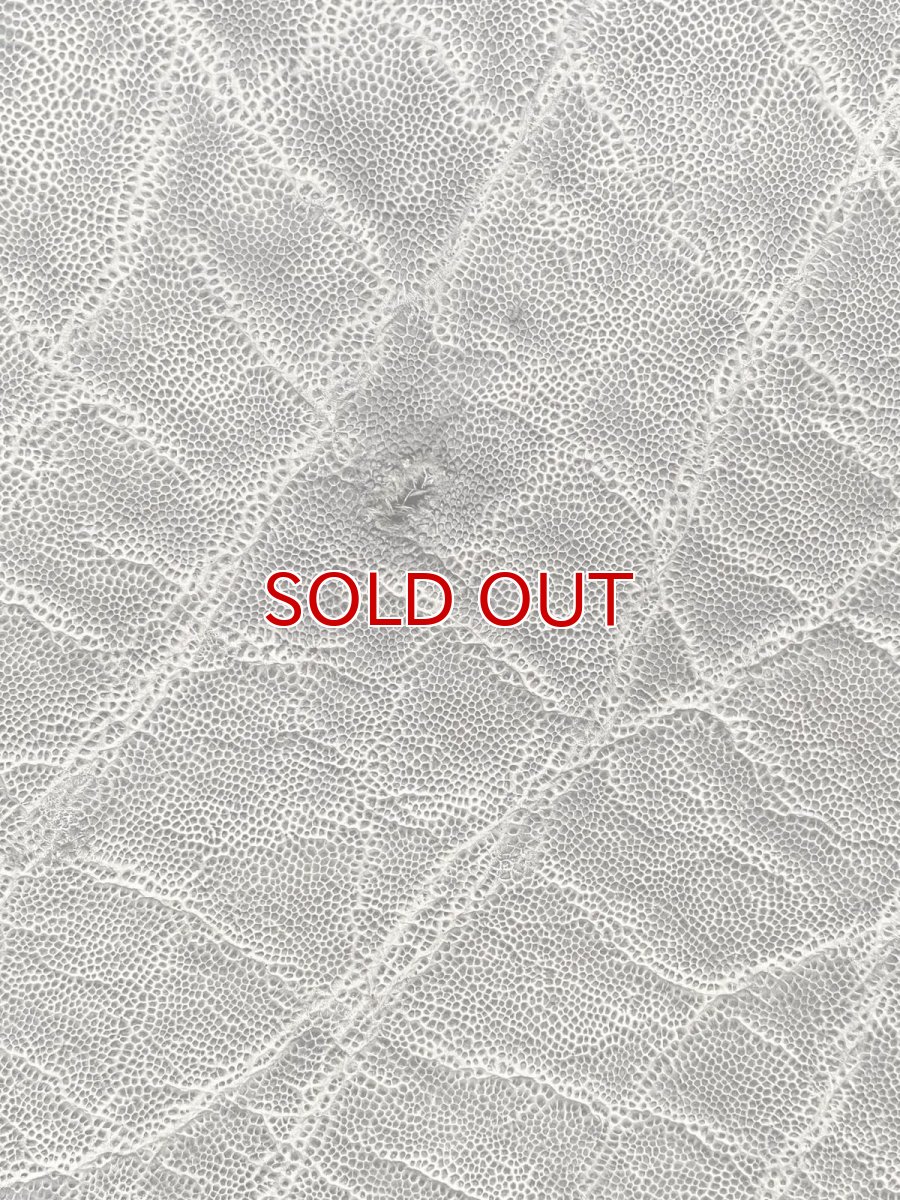 画像11: エレファントレザー　グレー　ゾウ革　象革　エキゾチックレザー (11)