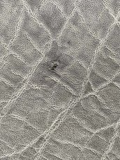 画像11: エレファントレザー　グレー　ゾウ革　象革　エキゾチックレザー (11)