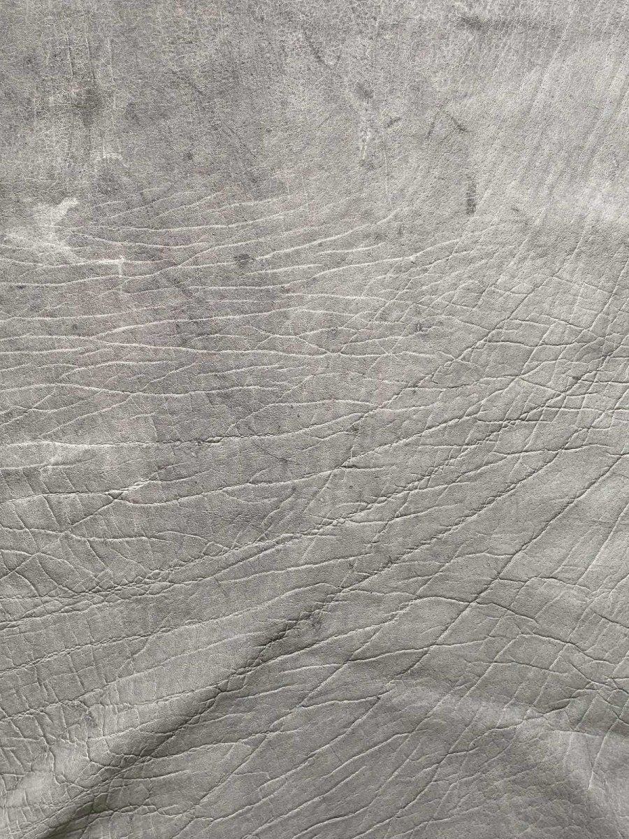 画像5: エレファントレザー　グレー　ゾウ革　象革　エキゾチックレザー (5)