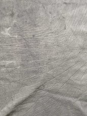 画像5: エレファントレザー　グレー　ゾウ革　象革　エキゾチックレザー (5)