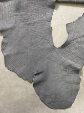 画像7: エレファントレザー　グレー　ゾウ革　象革　エキゾチックレザー (7)