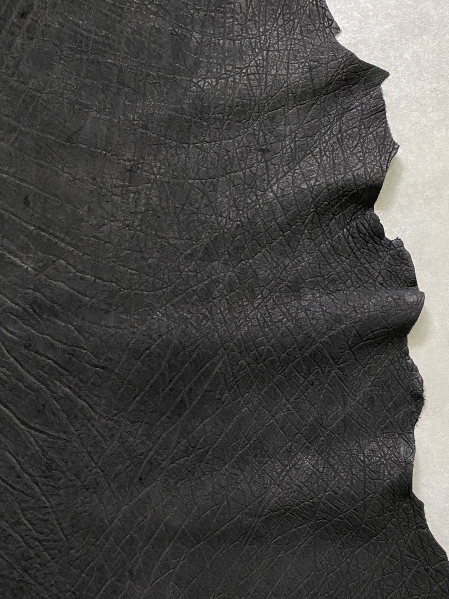 画像6: エレファントレザー　ブラック　ゾウ革　象革　エキゾチックレザー (6)