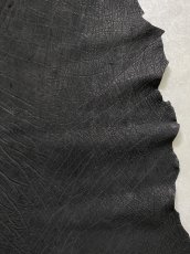 画像6: エレファントレザー　ブラック　ゾウ革　象革　エキゾチックレザー (6)