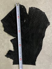 画像6: 象革　エレファントレザー　ブラック　ゾウ革 ハギレ (6)