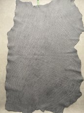 画像1: エレファントレザー　グレー　ゾウ革　象革　エキゾチックレザー (1)