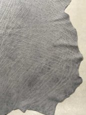 画像7: エレファントレザー　グレー　ゾウ革　象革　エキゾチックレザー (7)