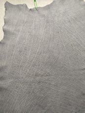 画像3: エレファントレザー　グレー　ゾウ革　象革　エキゾチックレザー (3)