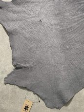 画像4: エレファントレザー　グレー　ゾウ革　象革　エキゾチックレザー (4)