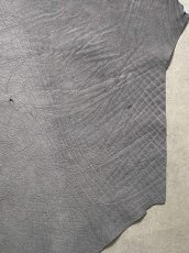 画像5: エレファントレザー　グレー　ゾウ革　象革　エキゾチックレザー (5)