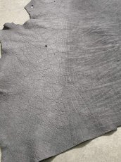 画像6: エレファントレザー　グレー　ゾウ革　象革　エキゾチックレザー (6)