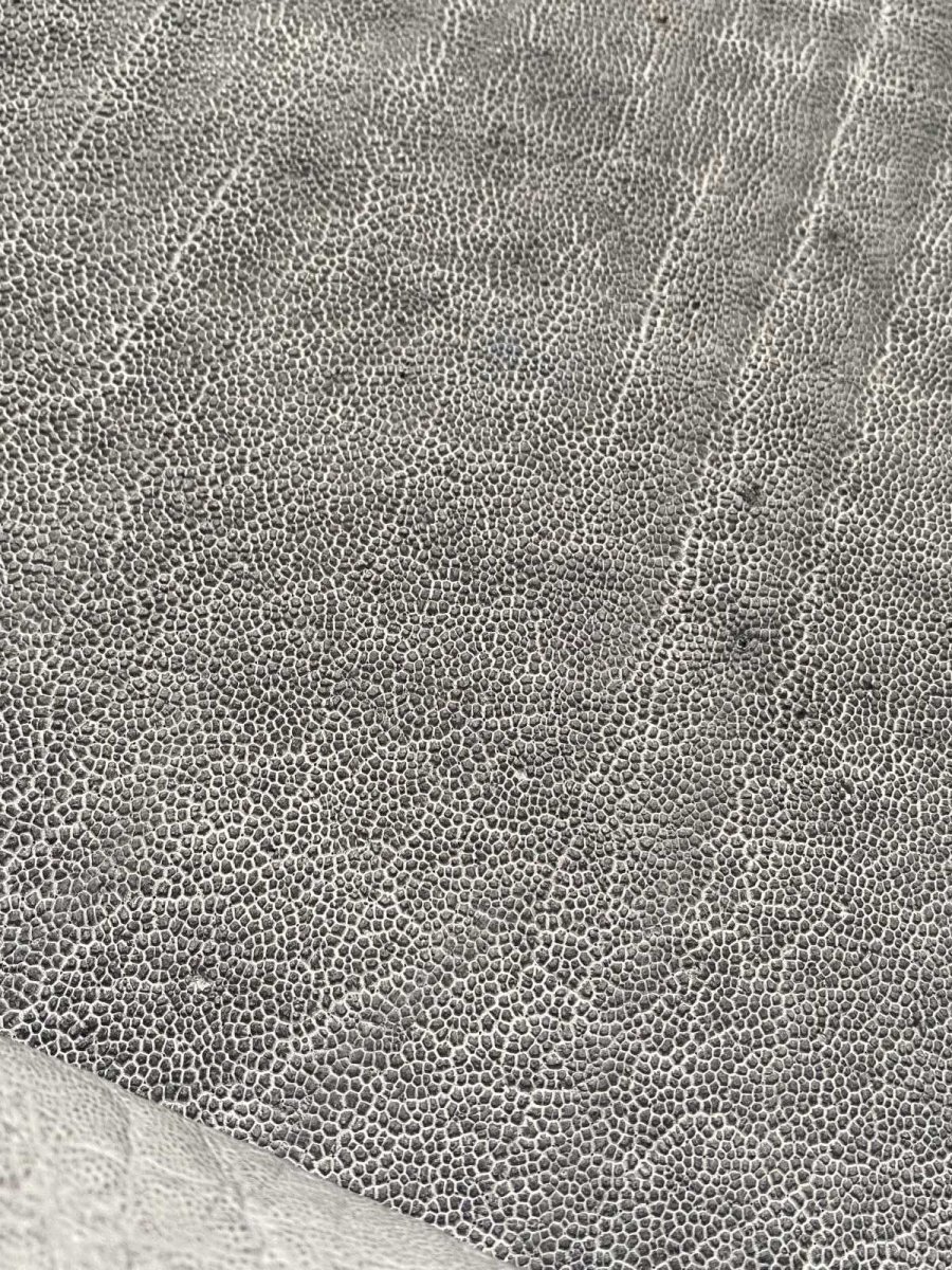 画像8: エレファントレザー　グレー　ゾウ革　象革　エキゾチックレザー (8)