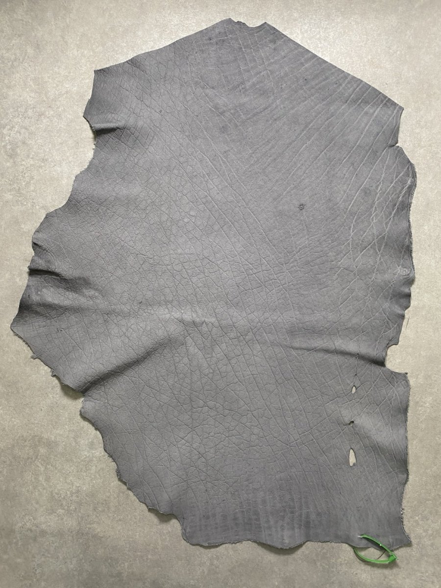 画像1: エレファントレザー　グレー　ゾウ革　象革　エキゾチックレザー (1)