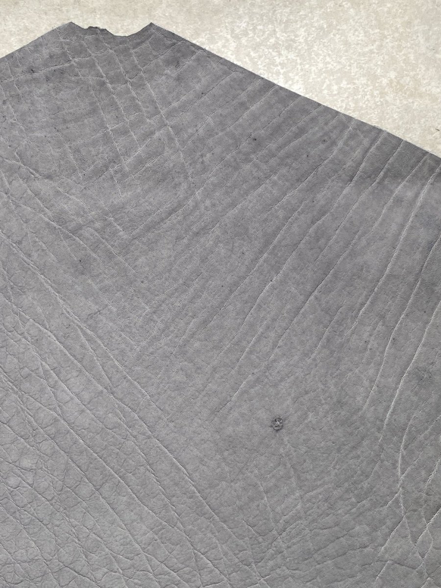 画像3: エレファントレザー　グレー　ゾウ革　象革　エキゾチックレザー (3)