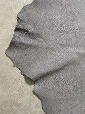 画像5: エレファントレザー　グレー　ゾウ革　象革　エキゾチックレザー (5)
