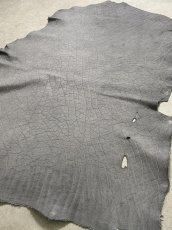 画像7: エレファントレザー　グレー　ゾウ革　象革　エキゾチックレザー (7)