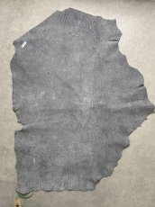 画像9: エレファントレザー　グレー　ゾウ革　象革　エキゾチックレザー (9)