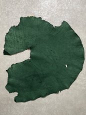 画像1: エレファントレザー　グリーン　ゾウ革　象革　耳　ミミ (1)