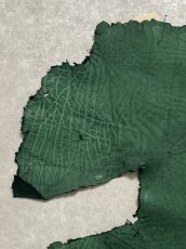 画像2: エレファントレザー　グリーン　ゾウ革　象革　耳　ミミ (2)