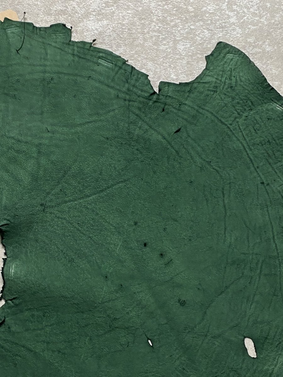 画像3: エレファントレザー　グリーン　ゾウ革　象革　耳　ミミ (3)