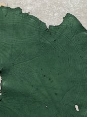 画像3: エレファントレザー　グリーン　ゾウ革　象革　耳　ミミ (3)