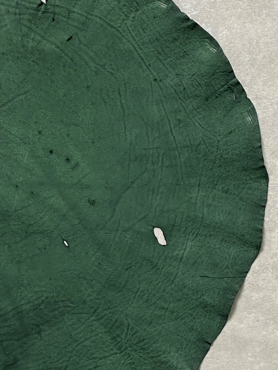 画像4: エレファントレザー　グリーン　ゾウ革　象革　耳　ミミ (4)