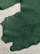 画像5: エレファントレザー　グリーン　ゾウ革　象革　耳　ミミ (5)
