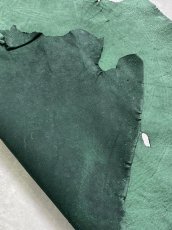 画像7: エレファントレザー　グリーン　ゾウ革　象革　耳　ミミ (7)
