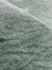 画像8: エレファントレザー　グリーン　ゾウ革　象革　耳　ミミ (8)