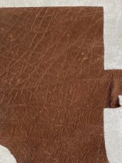 画像3: 【お客様専用品】エレファントレザー　ブラウン　ゾウ革　象革　 (3)