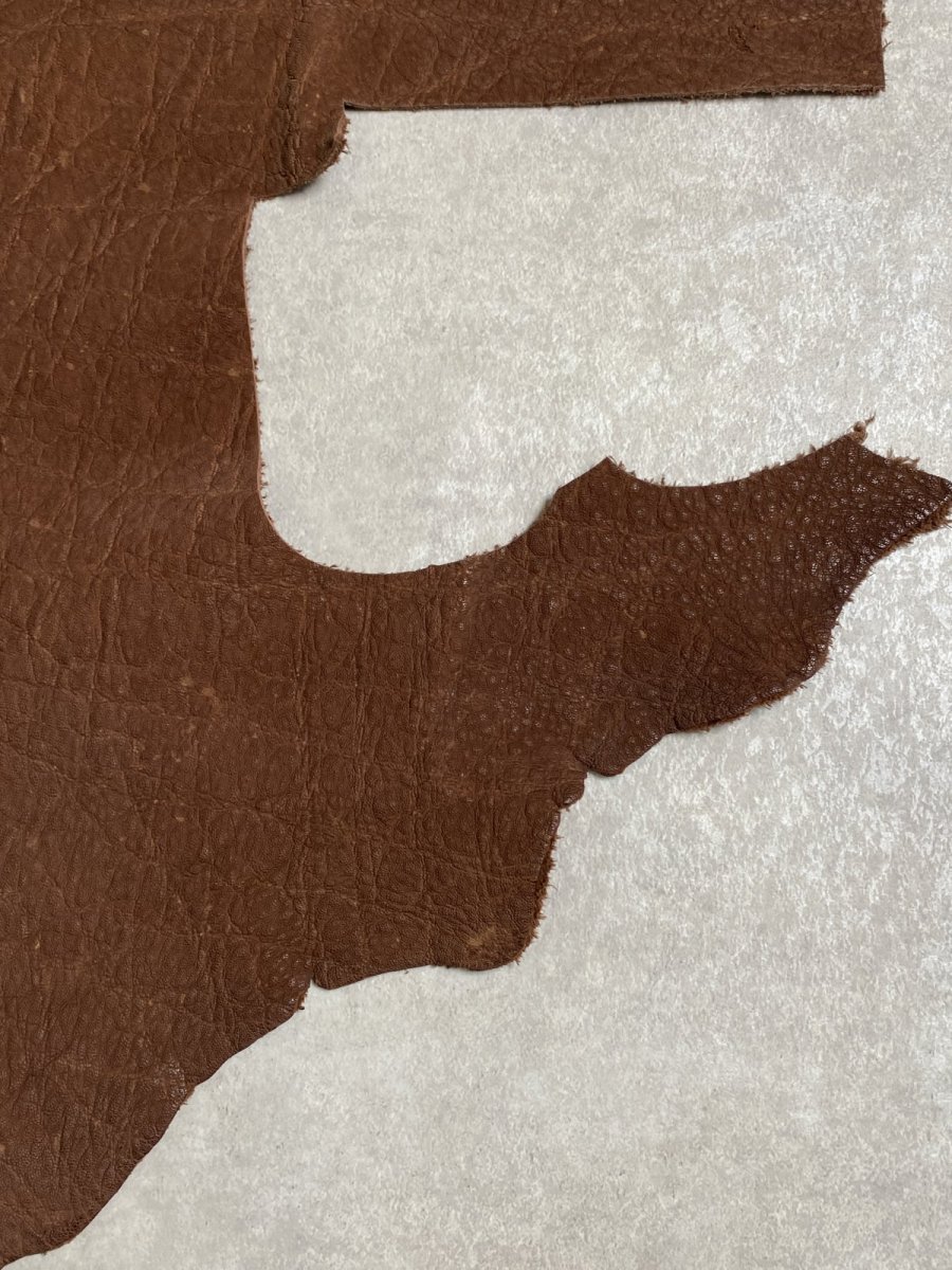 画像6: 【お客様専用品】エレファントレザー　ブラウン　ゾウ革　象革　 (6)