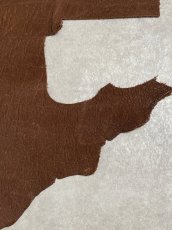 画像6: 【お客様専用品】エレファントレザー　ブラウン　ゾウ革　象革　 (6)