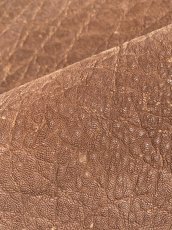 画像8: 【お客様専用品】エレファントレザー　ブラウン　ゾウ革　象革　 (8)