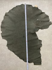 画像11: エレファントレザー　ダークグレー　ゾウ革　象革　耳　エキゾチックレザー (11)