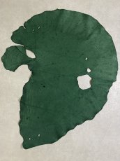 画像1: エレファントレザー　グリーン　ゾウ革　象革　耳　ミミ (1)