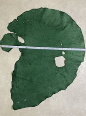 画像10: エレファントレザー　グリーン　ゾウ革　象革　耳　ミミ (10)