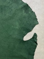 画像7: エレファントレザー　グリーン　ゾウ革　象革　耳　ミミ (7)