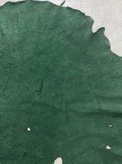 画像4: エレファントレザー　グリーン　ゾウ革　象革　耳　ミミ (4)