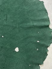 画像6: エレファントレザー　グリーン　ゾウ革　象革　耳　ミミ (6)