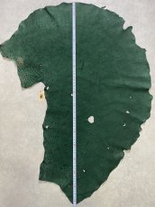 画像11: エレファントレザー　グリーン　ゾウ革　象革　耳　ミミ (11)