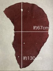 画像8: エレファントレザー　ボルドー　ゾウ革　象革　耳　エキゾチックレザー (8)