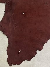 画像4: エレファントレザー　ボルドー　ゾウ革　象革　耳　エキゾチックレザー (4)