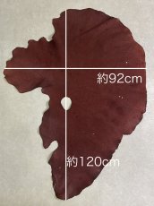 画像5: エレファントレザー　ボルドー　ゾウ革　象革　耳　エキゾチックレザー (5)