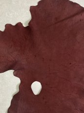 画像3: エレファントレザー　ボルドー　ゾウ革　象革　耳　エキゾチックレザー (3)